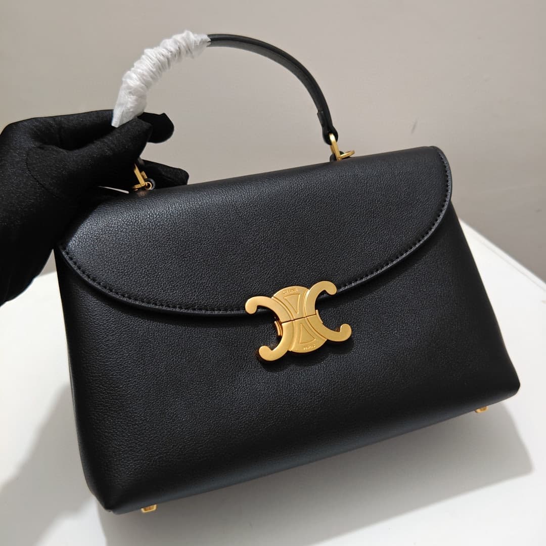 Celine Bag 6869