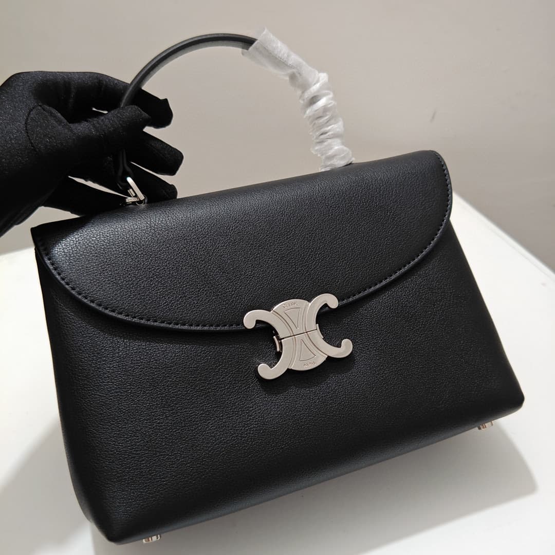 Celine Bag 6869
