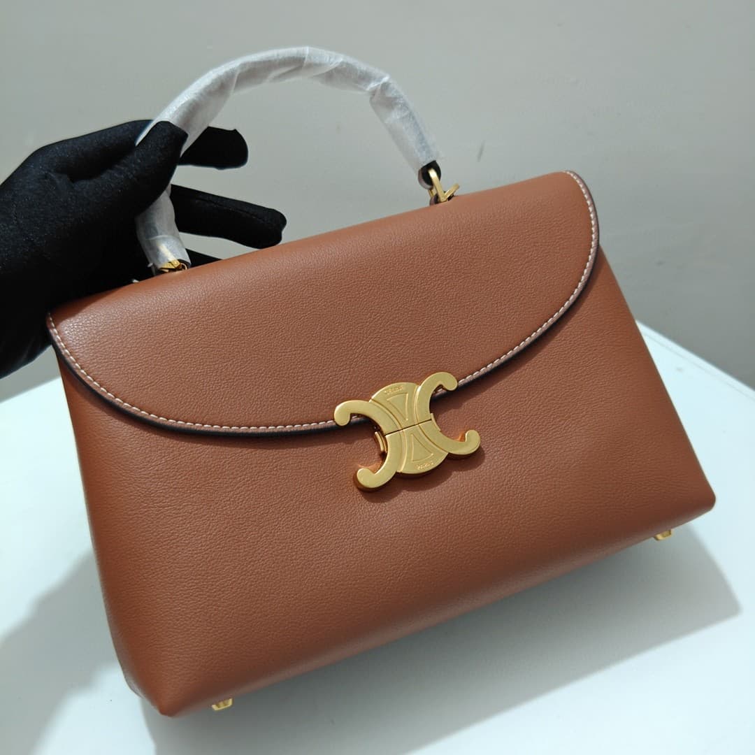 Celine Bag 6869