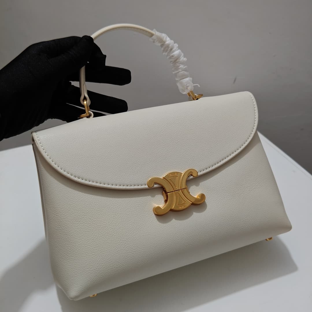 Celine Bag 6869