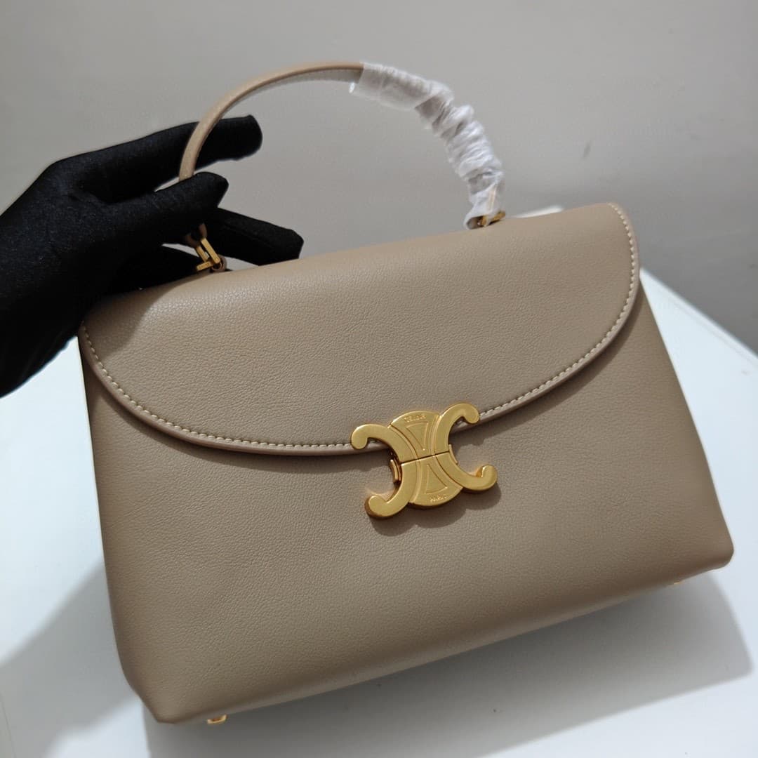 Celine Bag 6869