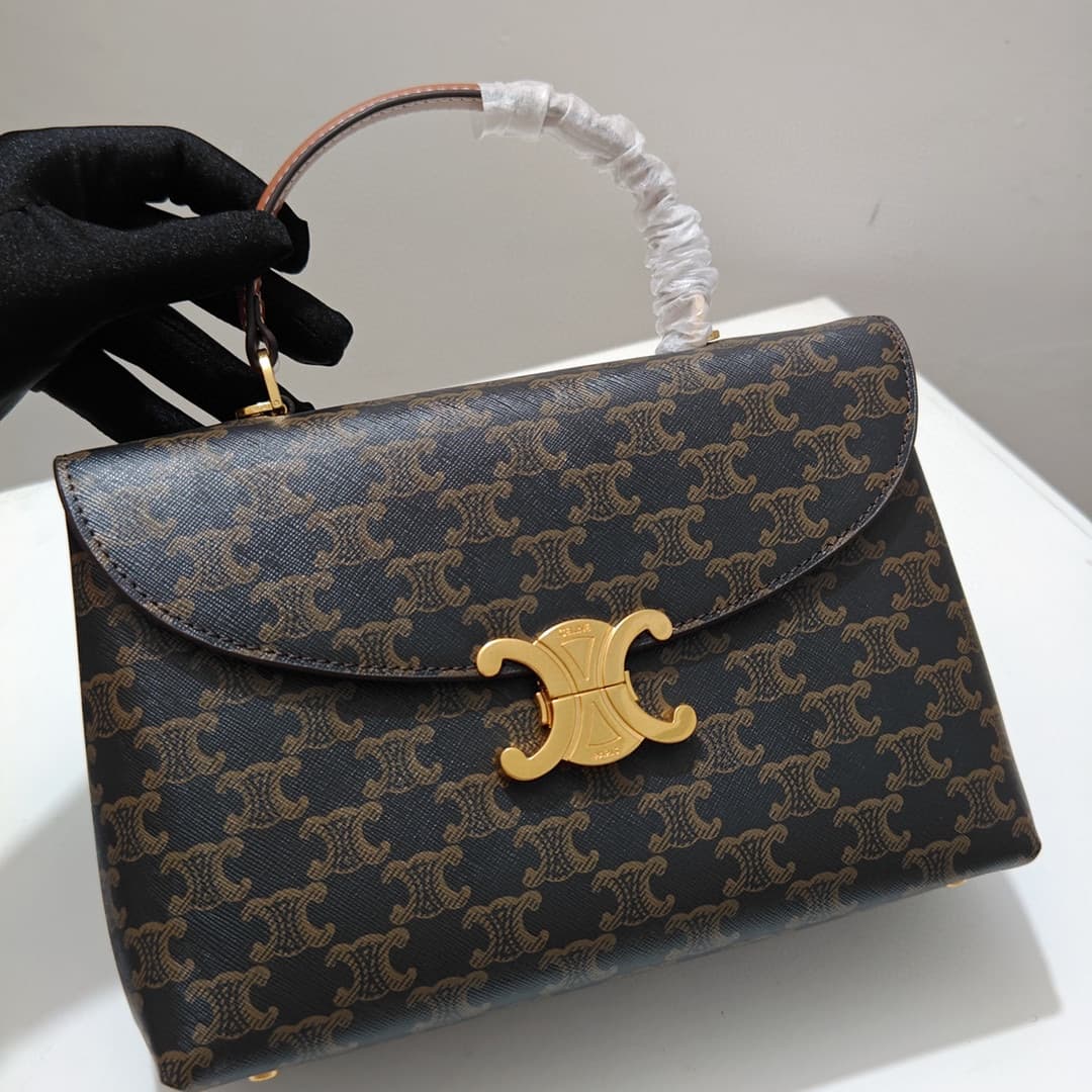 Celine Bag 6869