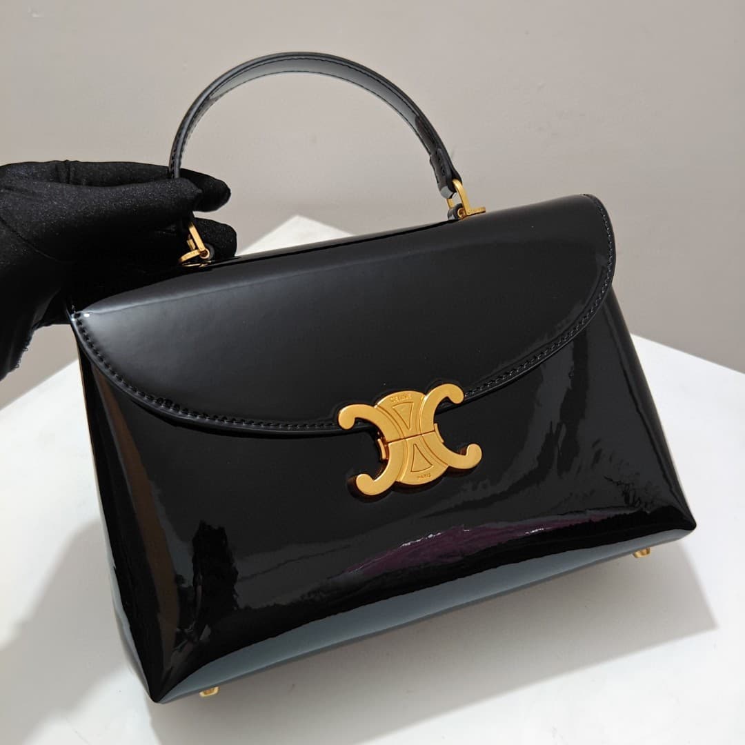 Celine Bag 6869