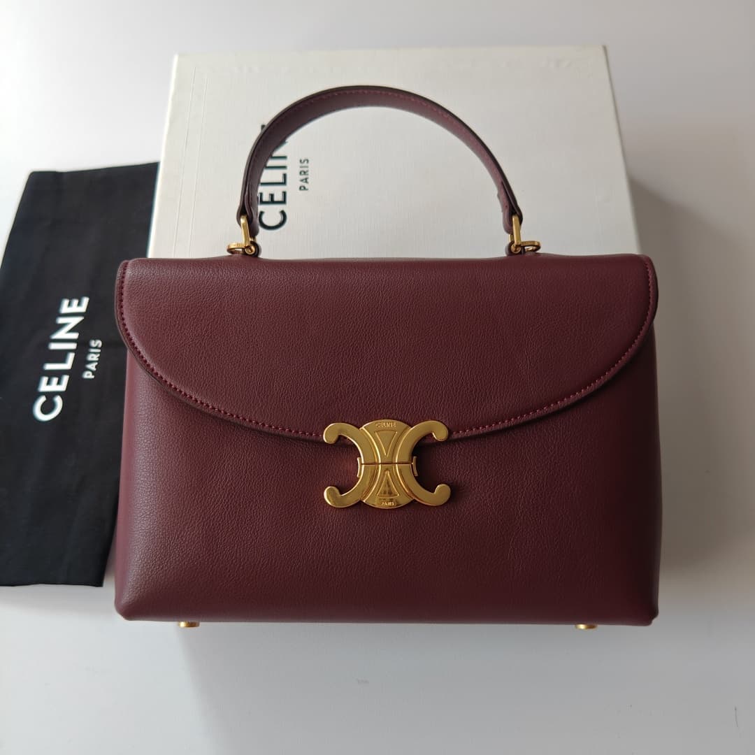 Celine Bag 6869
