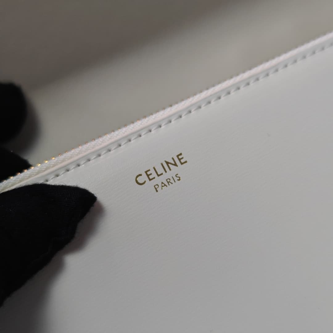 Celine Bag 6889