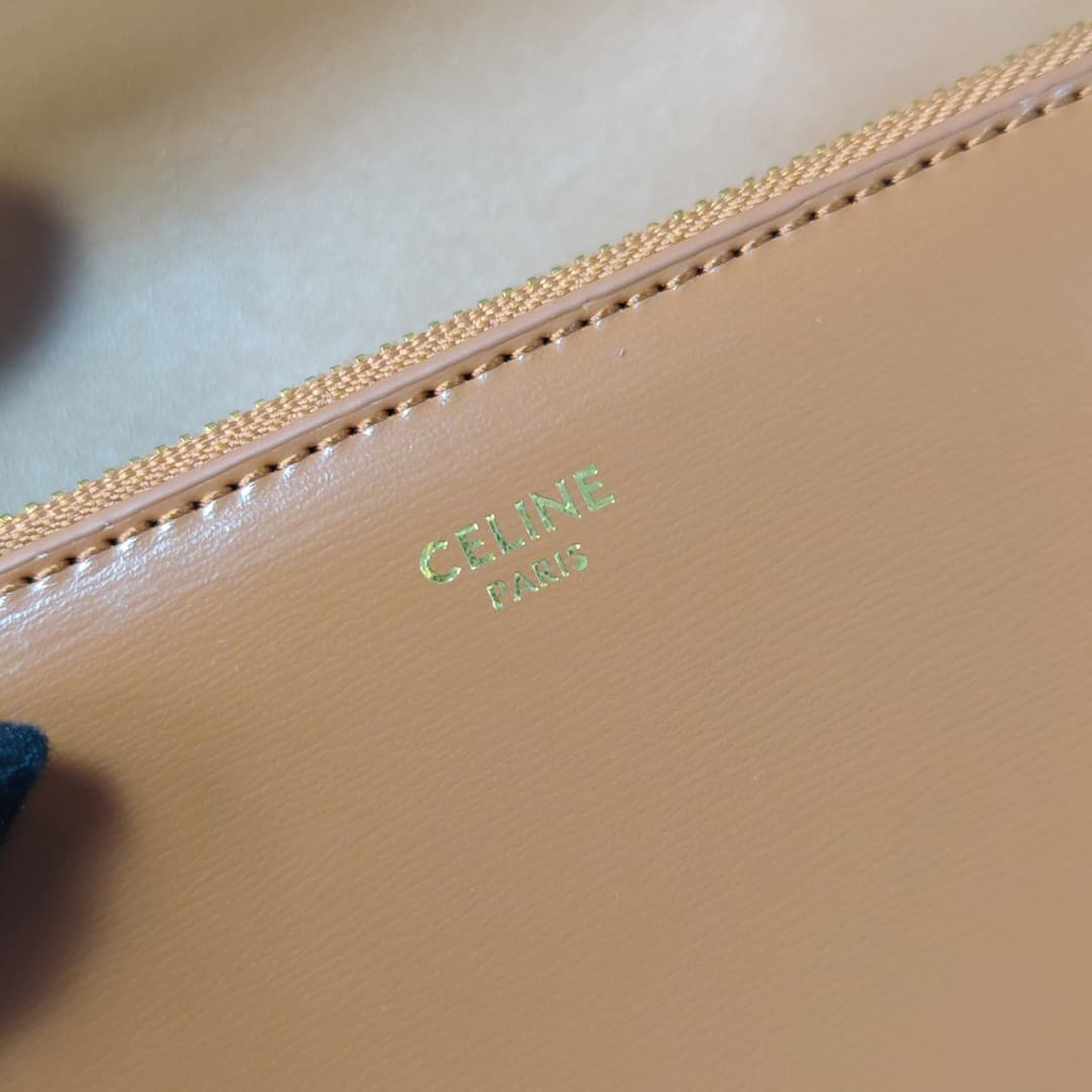 Celine Bag 6889