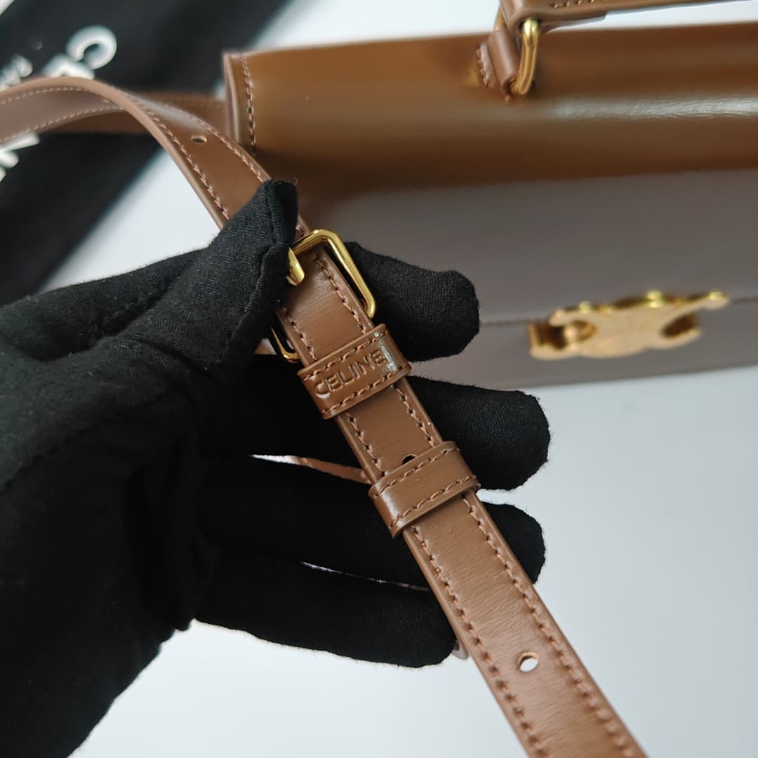 Celine Bag 6889