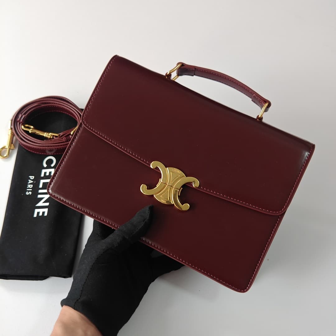 Celine Bag 6889