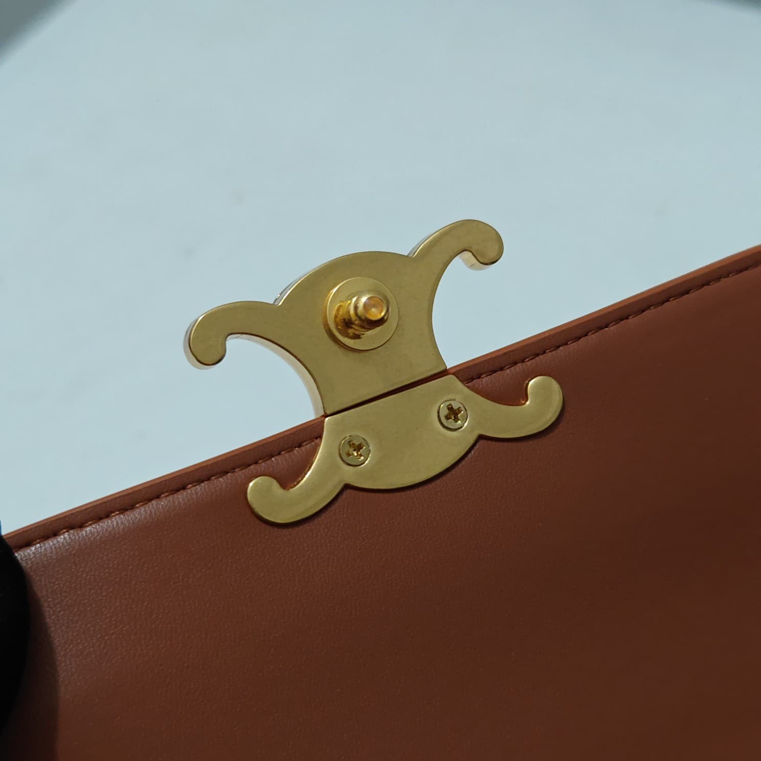 Celine Gold Crossbody Bag 6369