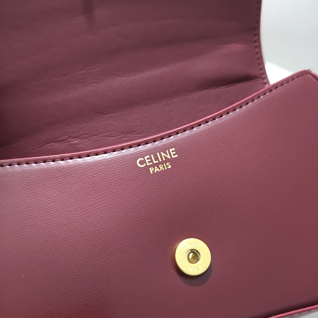 Celine Gold Crossbody Bag 6369