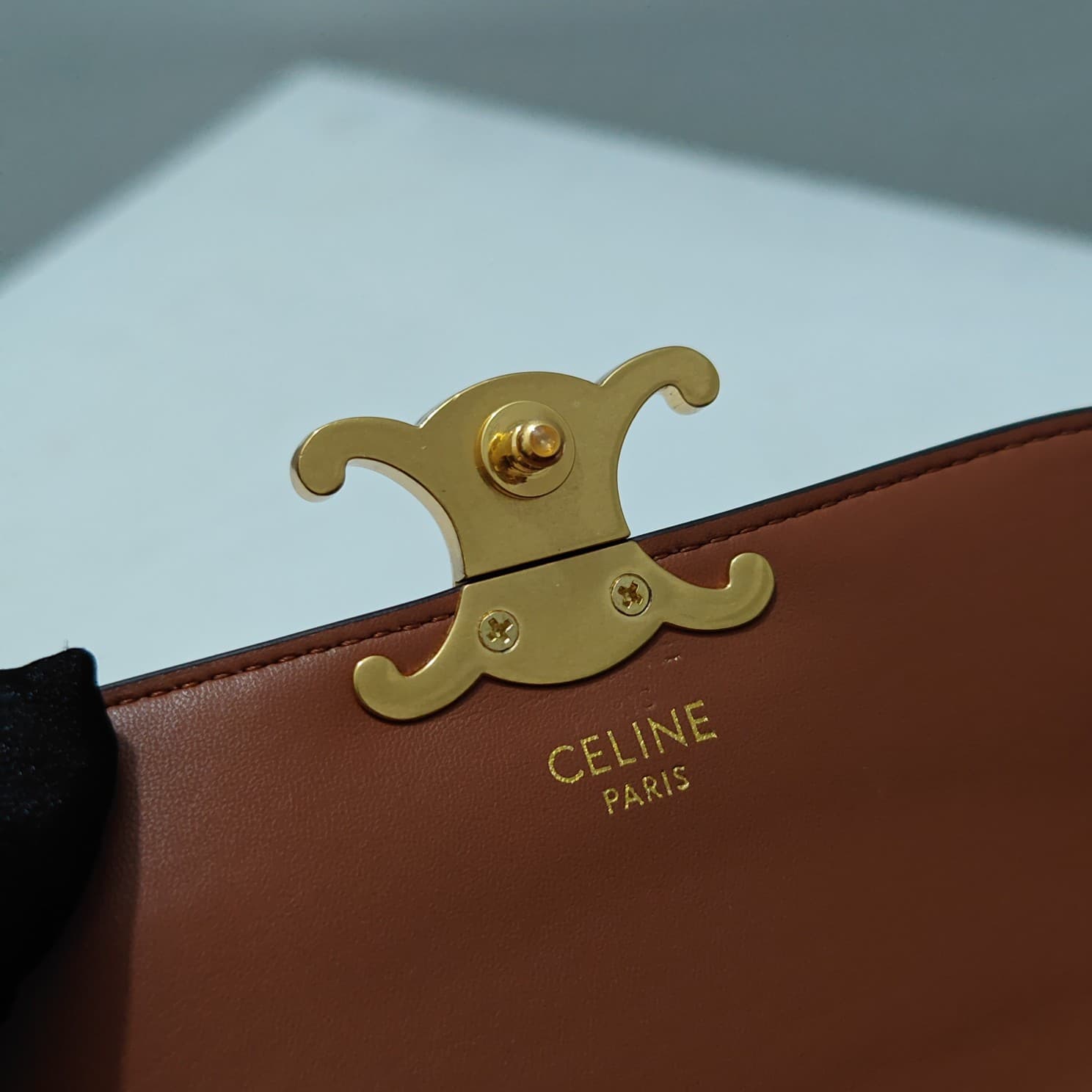 Celine Gold Crossbody Bag 6369