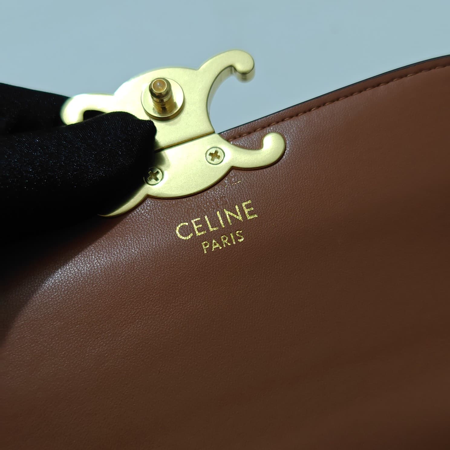 Celine Gold Crossbody Bag 6369