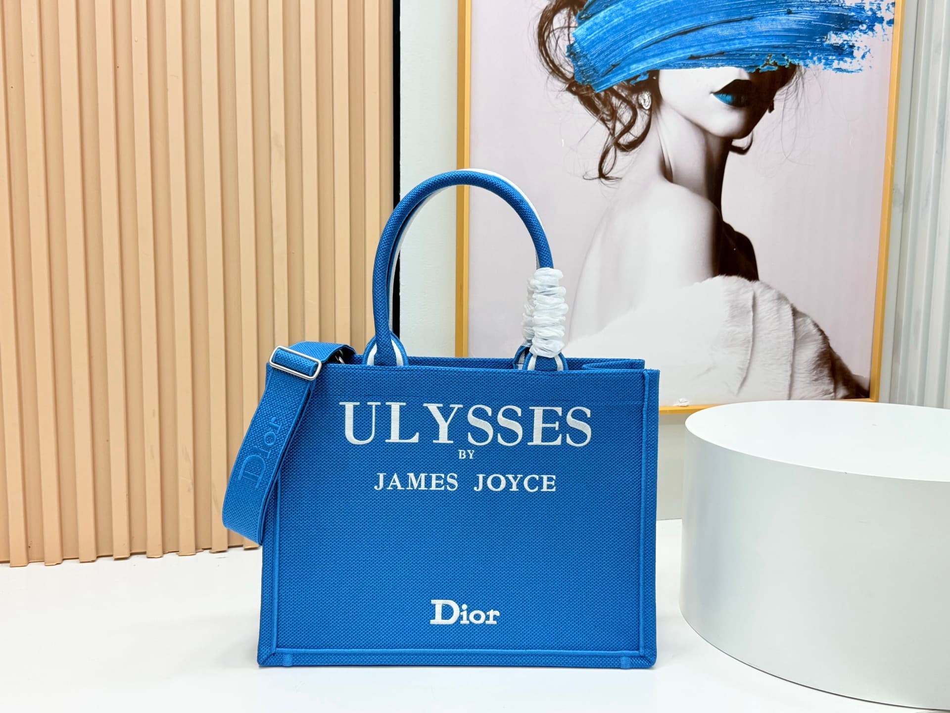 Dior Medium Tote Bag 8834
