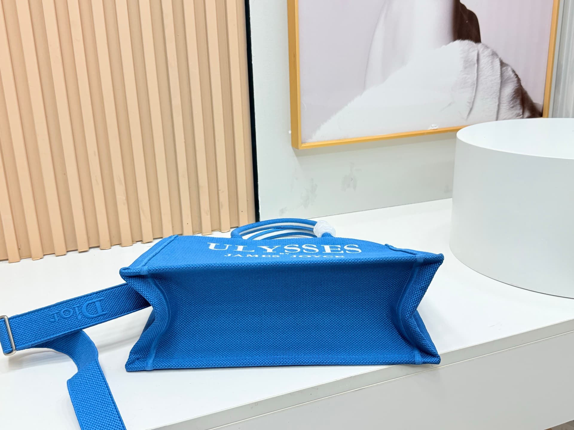 Dior Medium Tote Bag 8834
