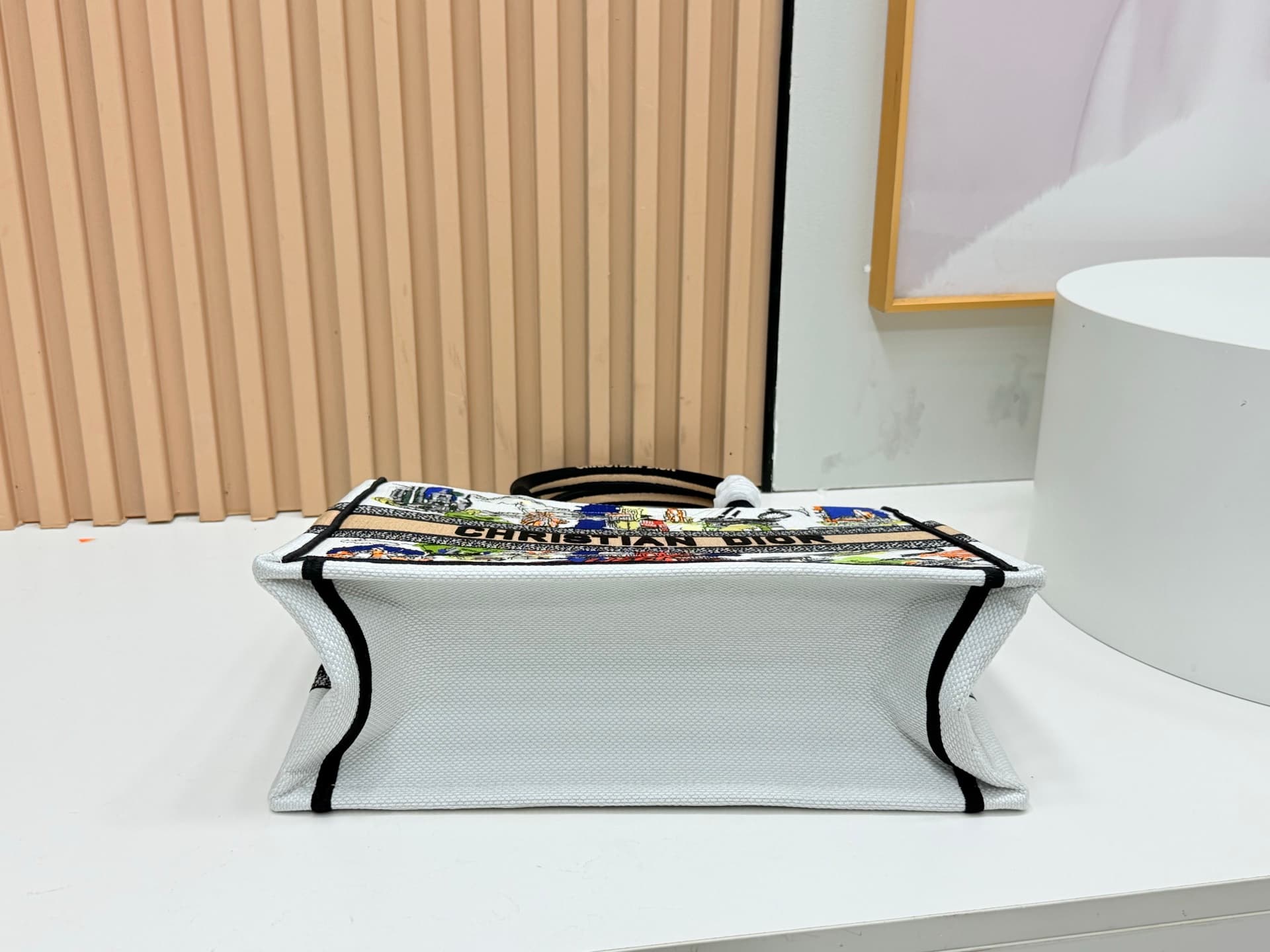 Dior Medium Tote Bag