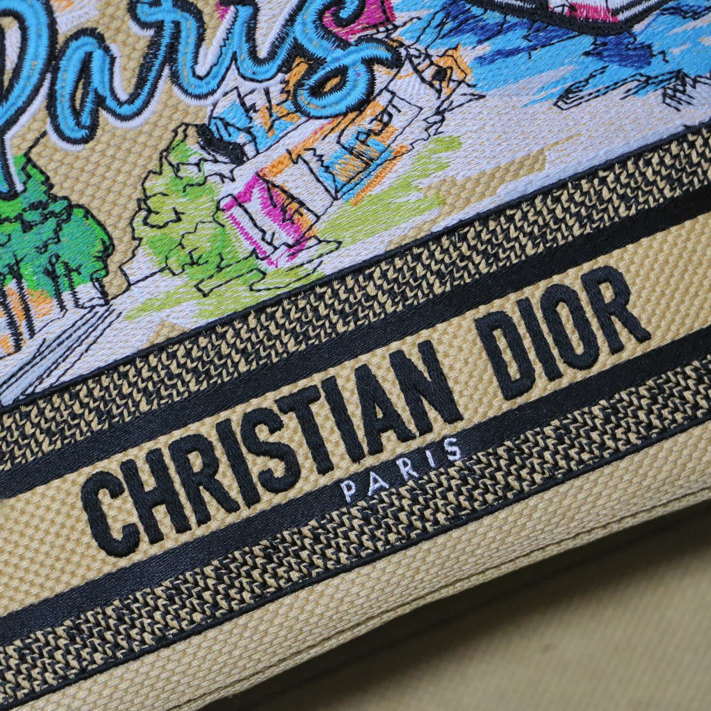 Dior Small Tote Bag