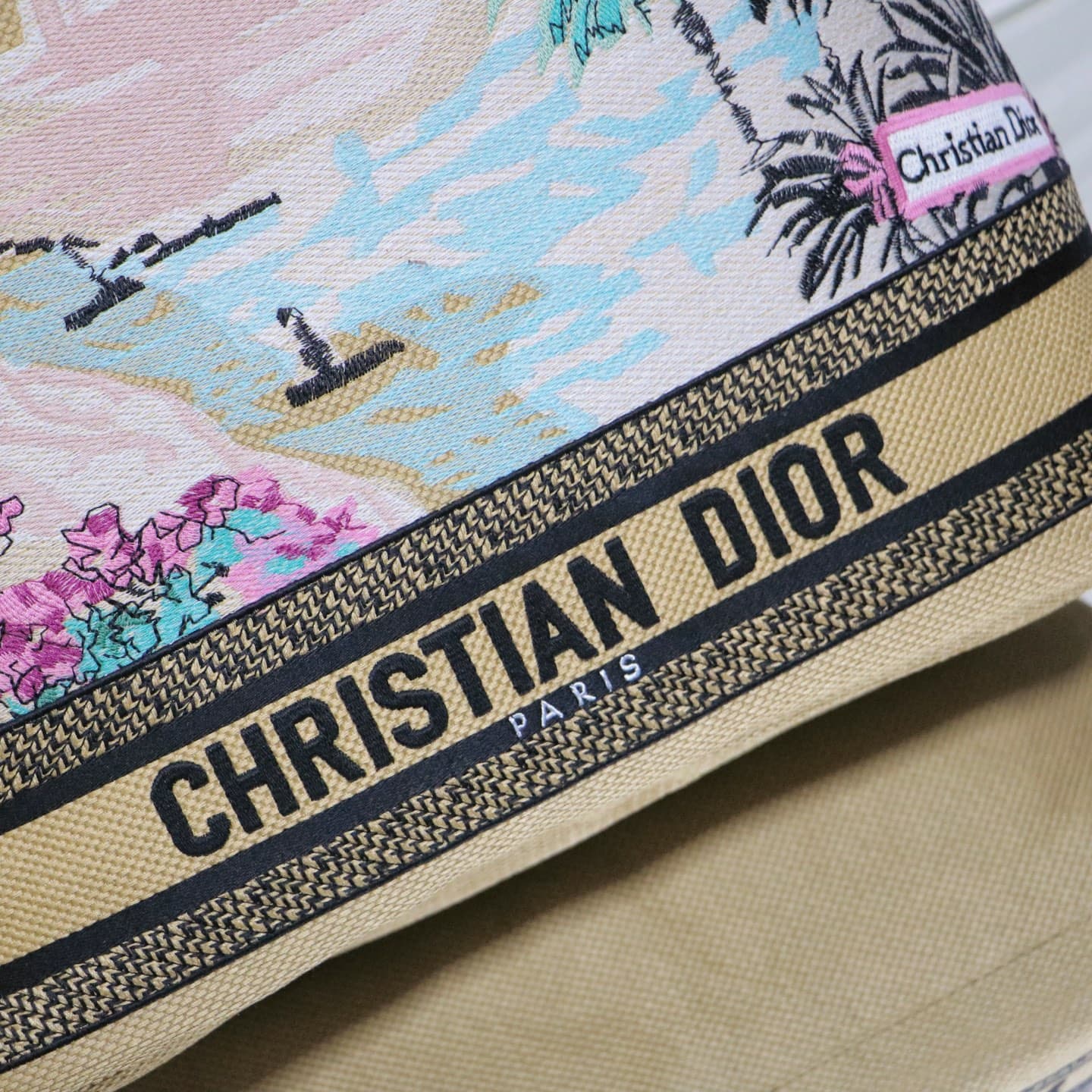 Dior Large Tote Bag
