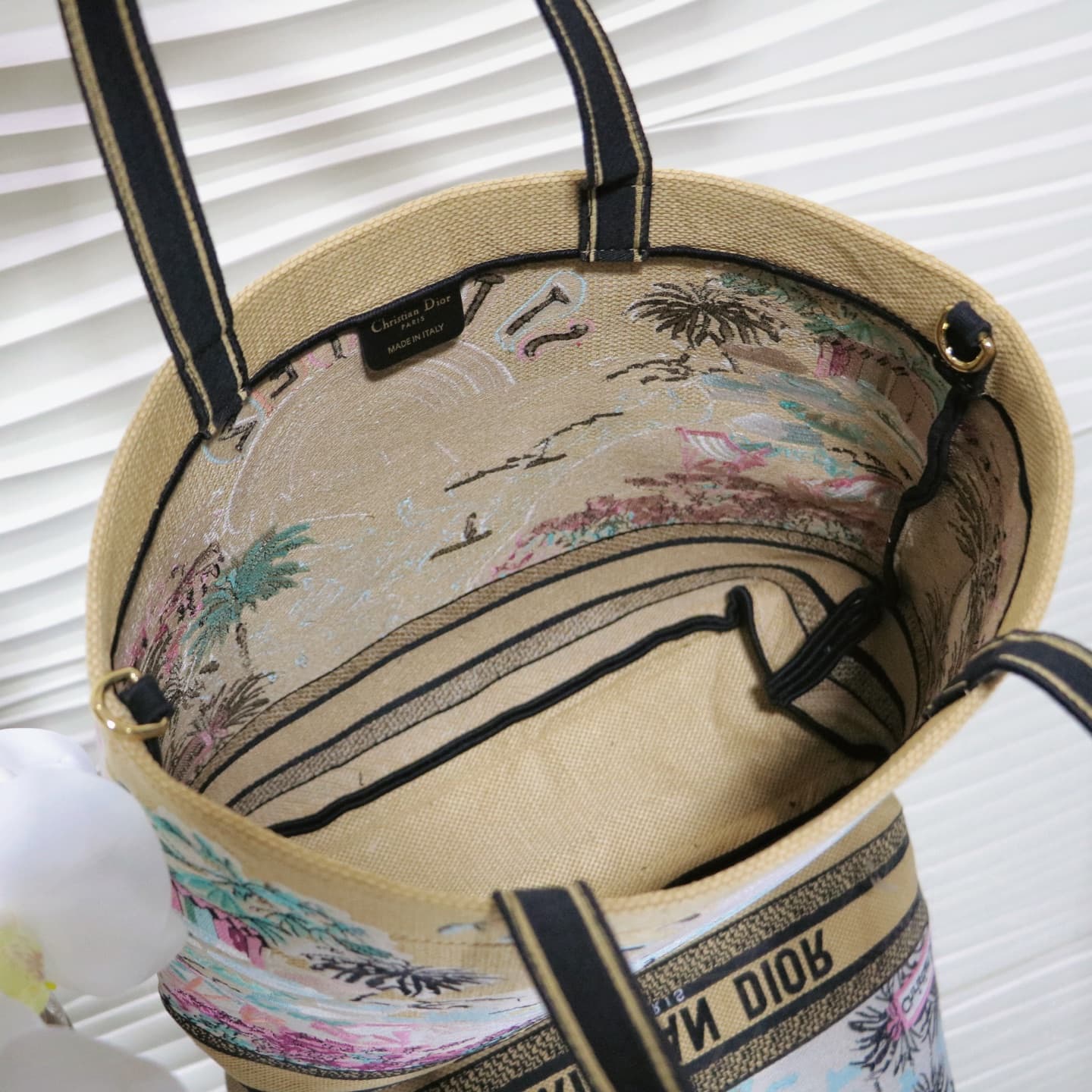 Dior Large Tote Bag