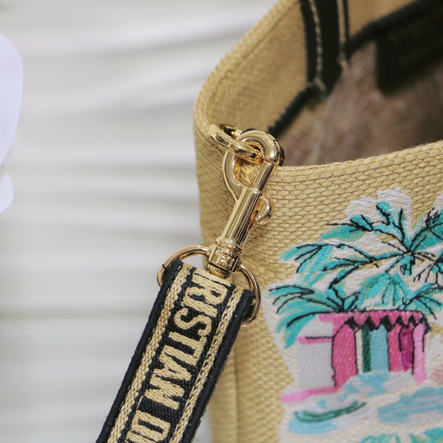 Dior Small Tote Bag
