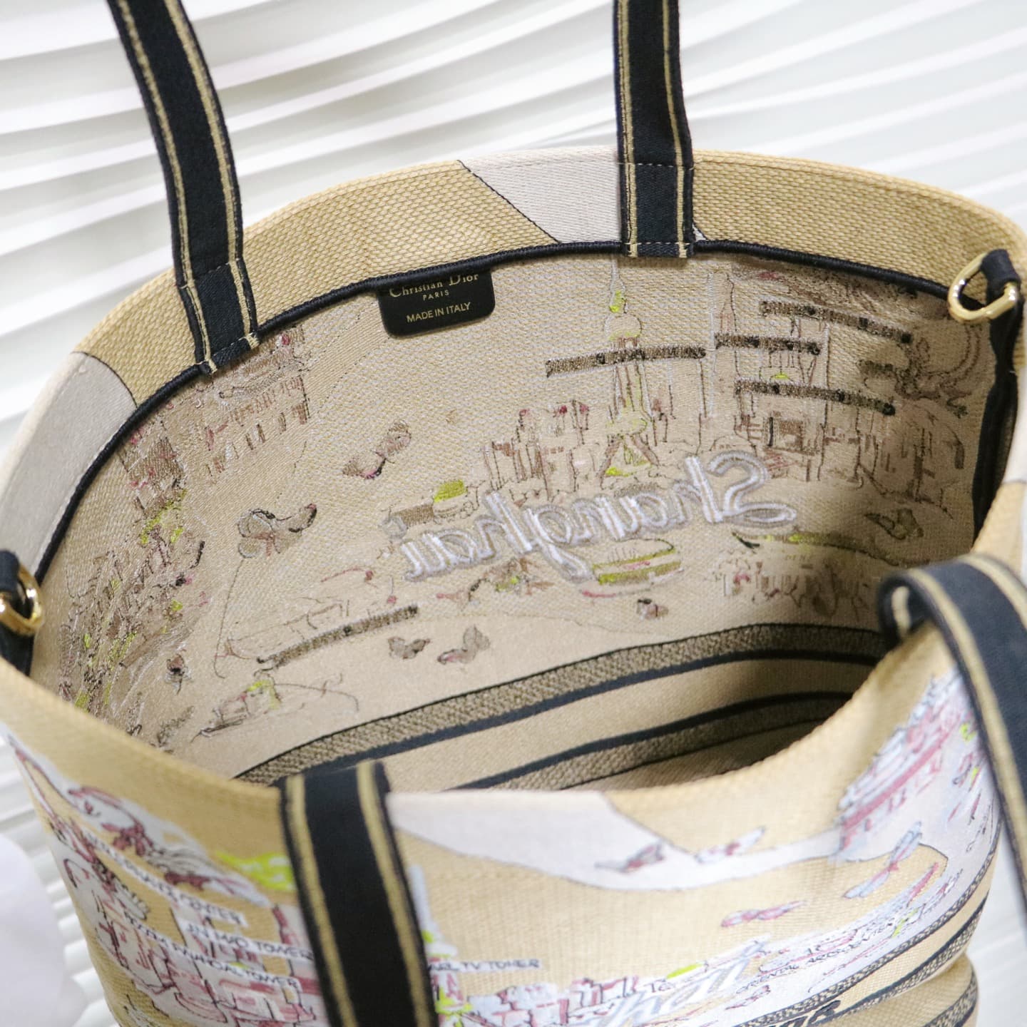 Dior Large Tote Bag