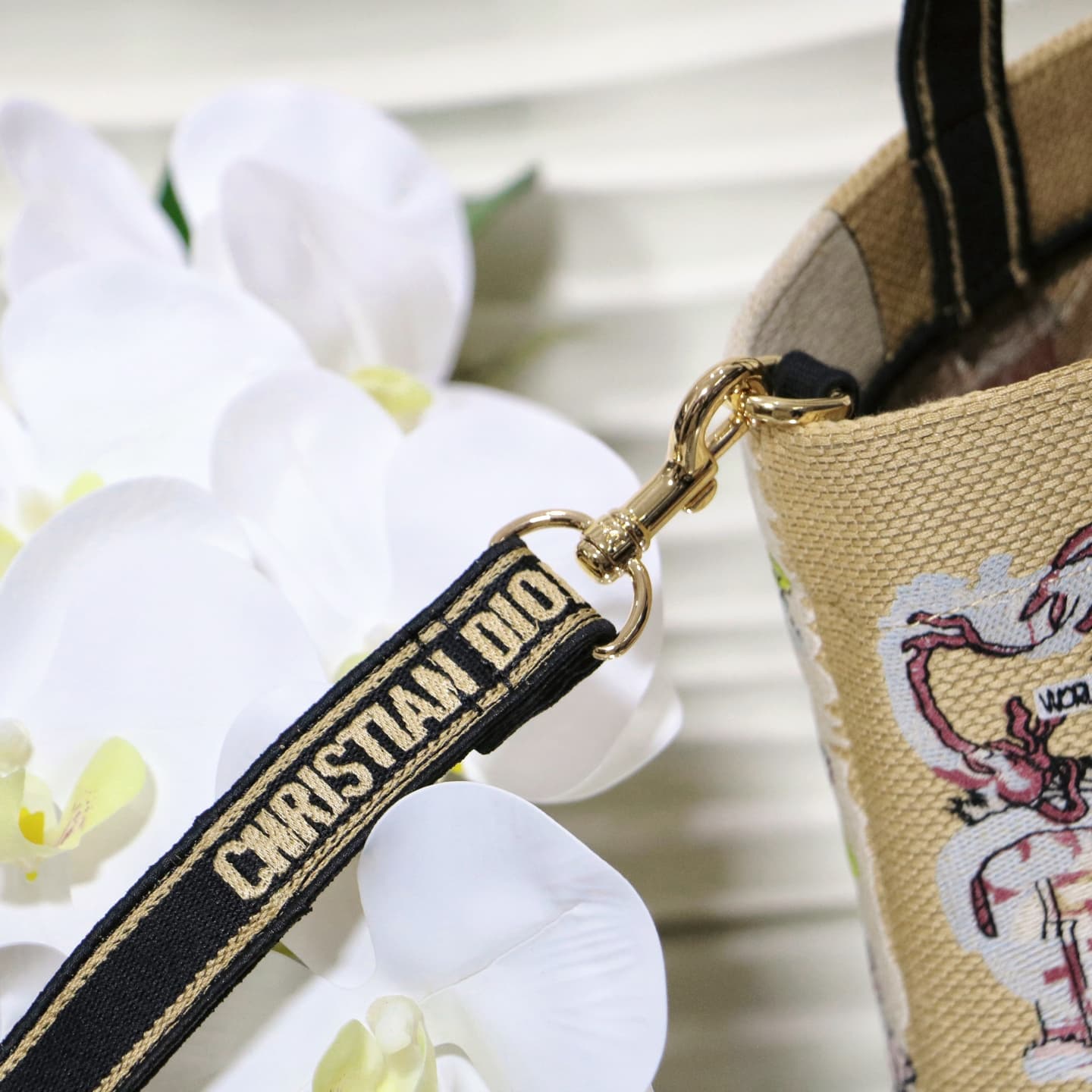 Dior Small Tote Bag
