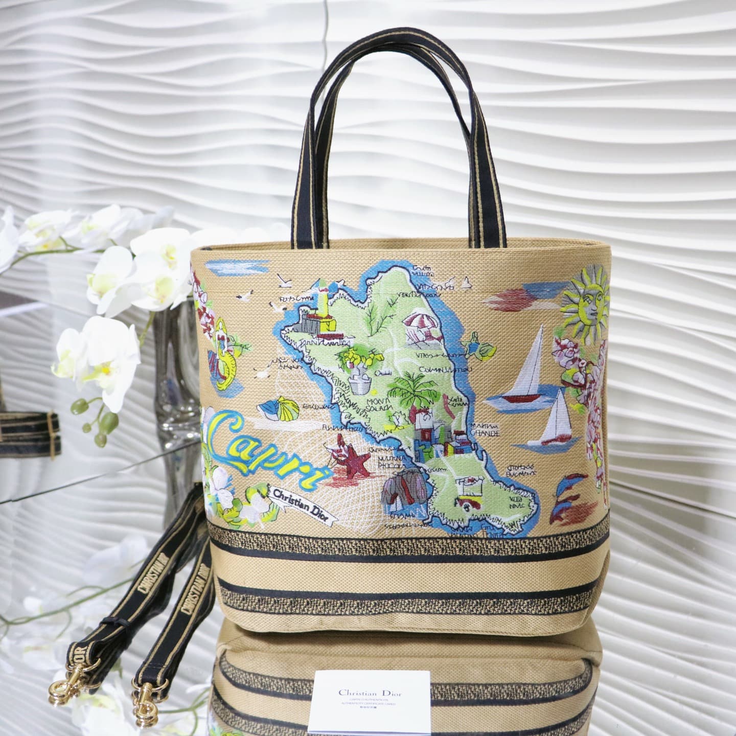 Dior Large Tote Bag
