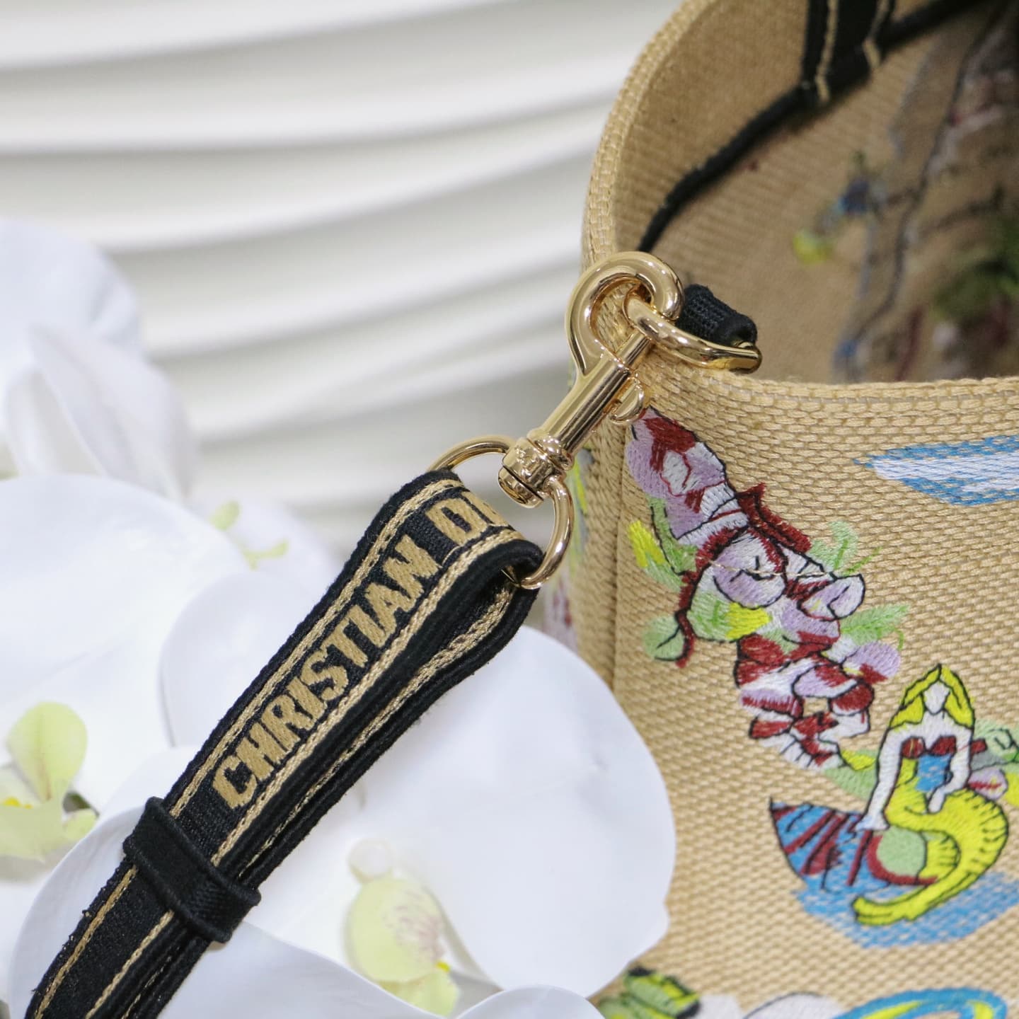 Dior Large Tote Bag