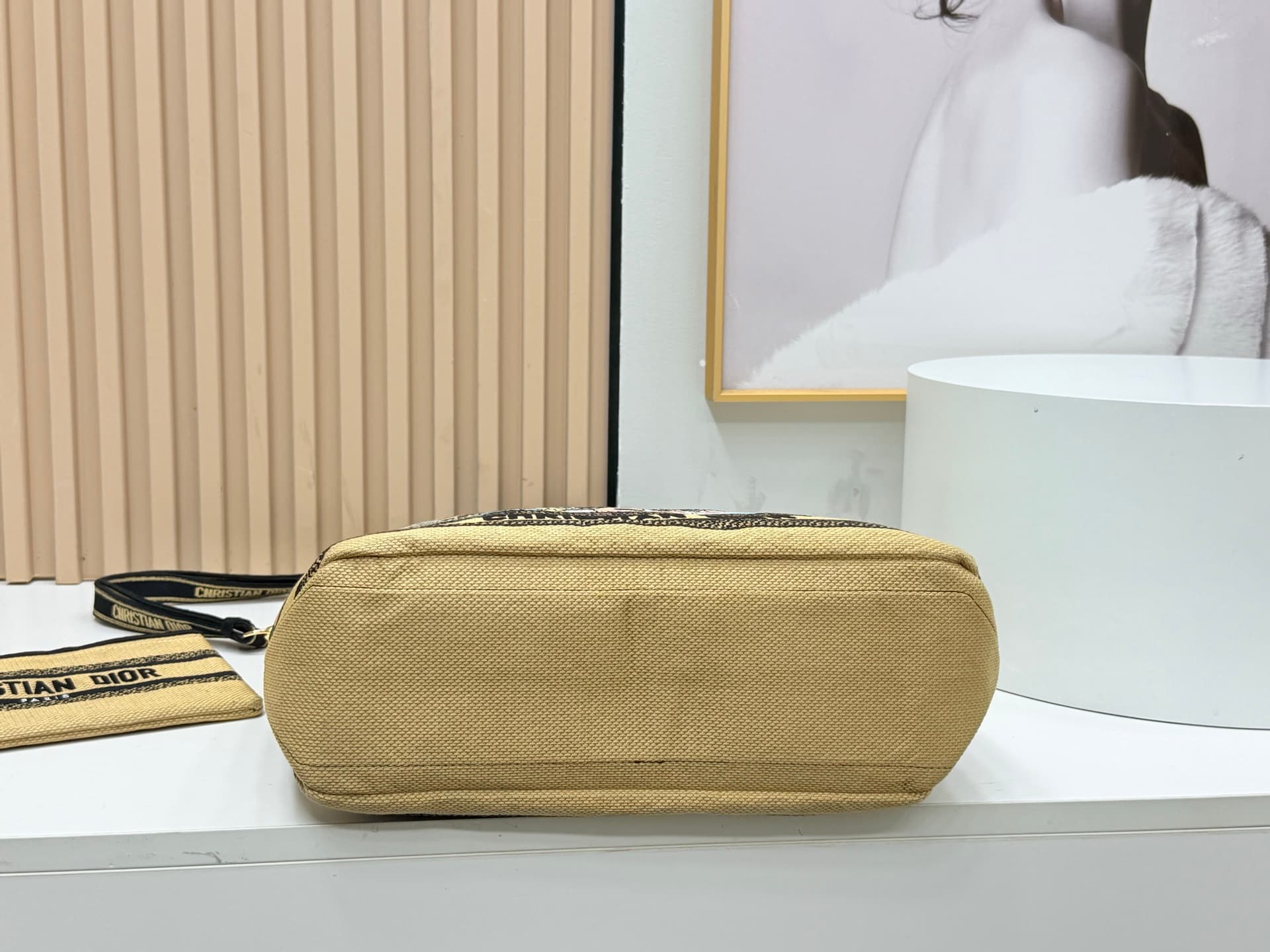 Dior Large Tote Bag