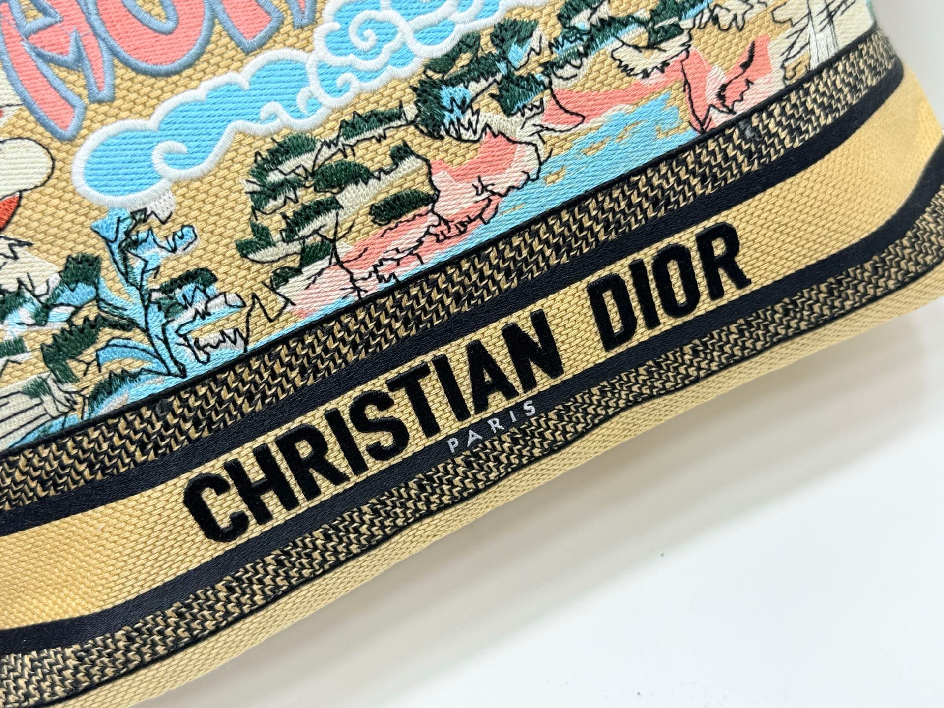 Dior Large Tote Bag