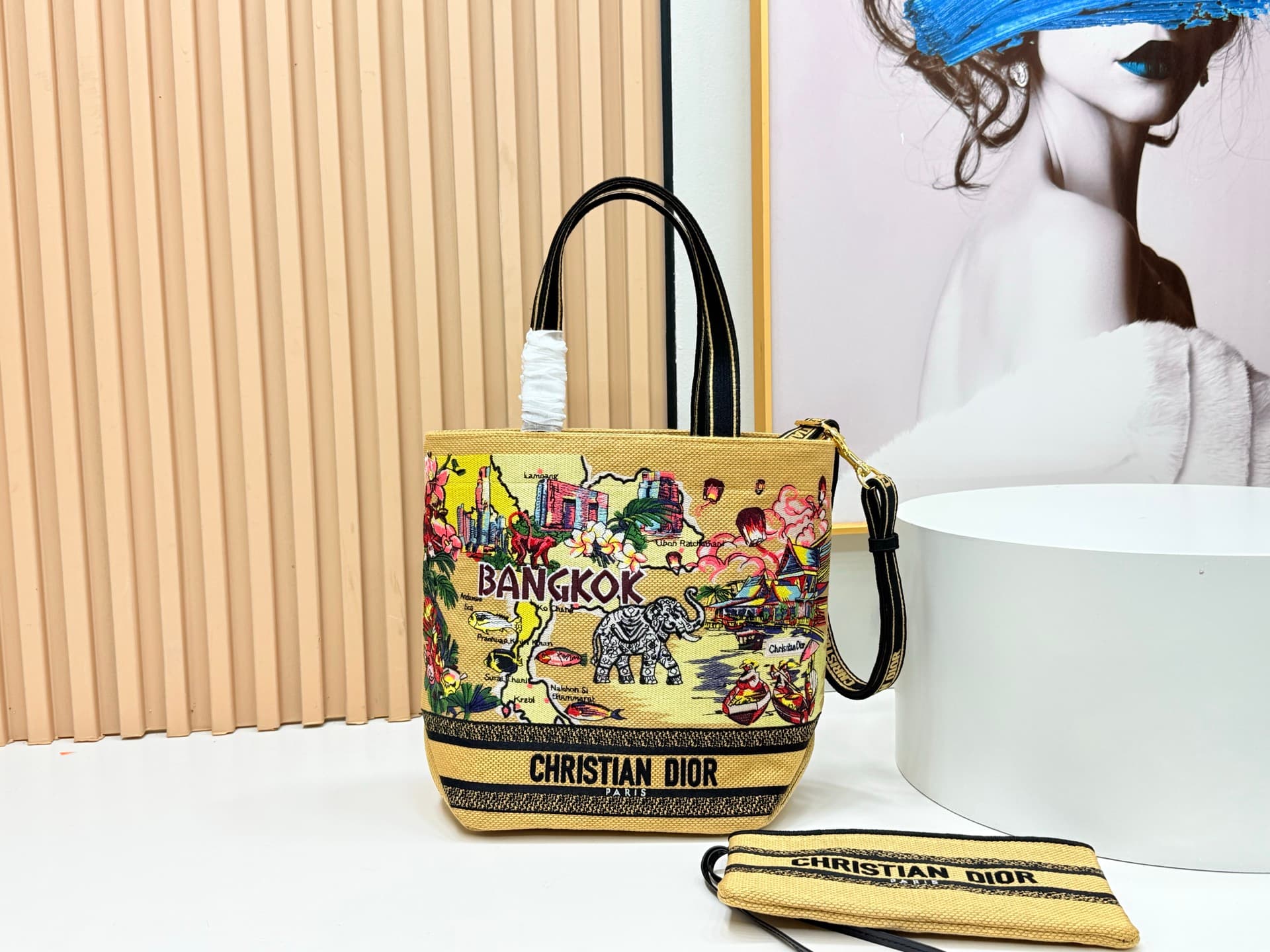 Dior Small Tote Bag