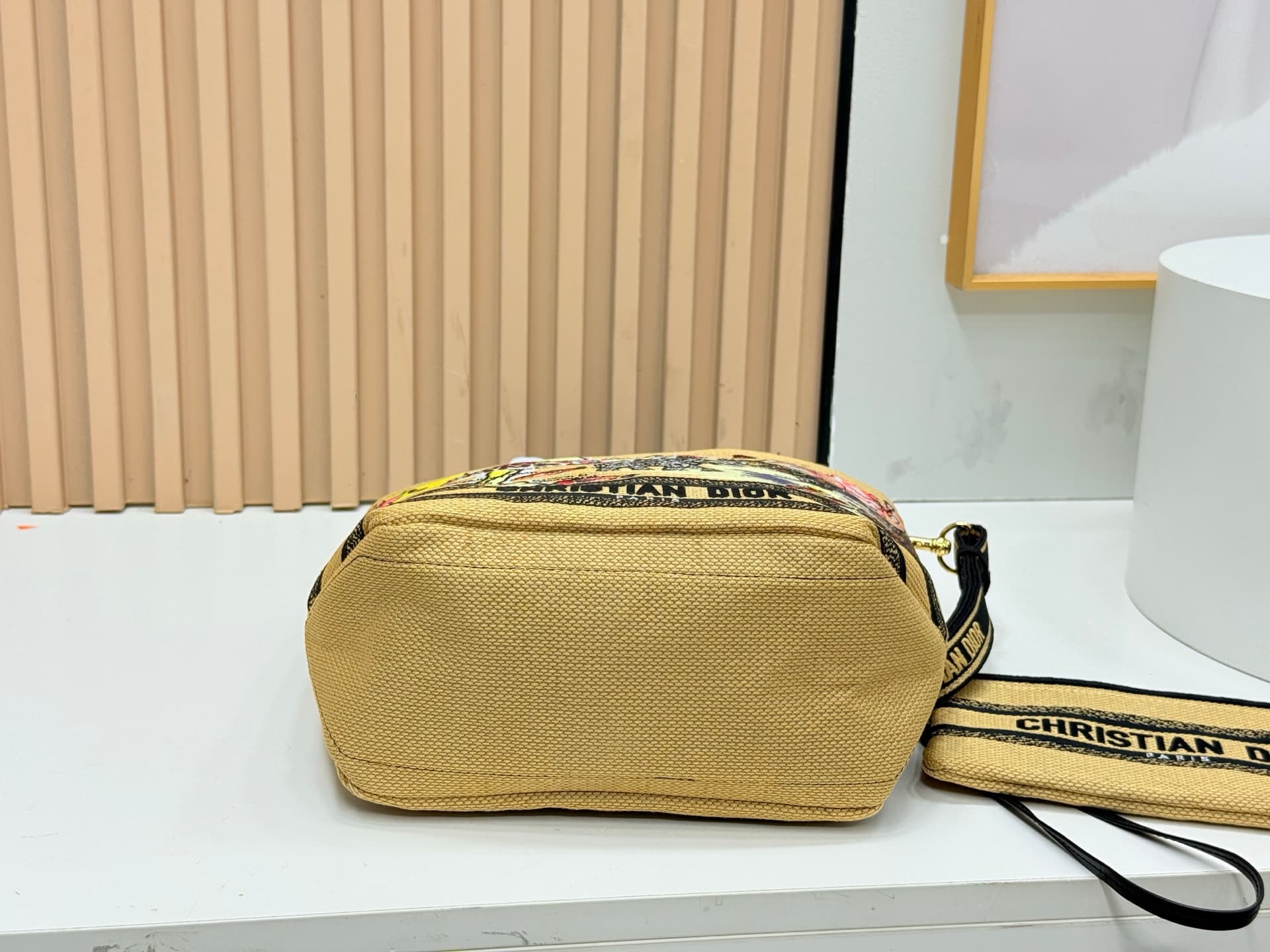 Dior Small Tote Bag