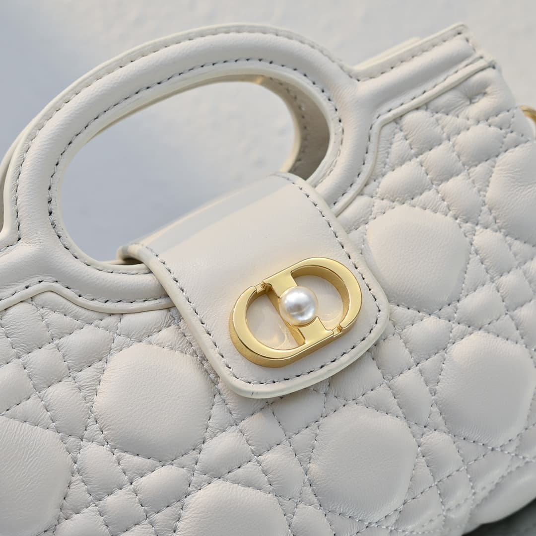Dior Mini Bag M3123