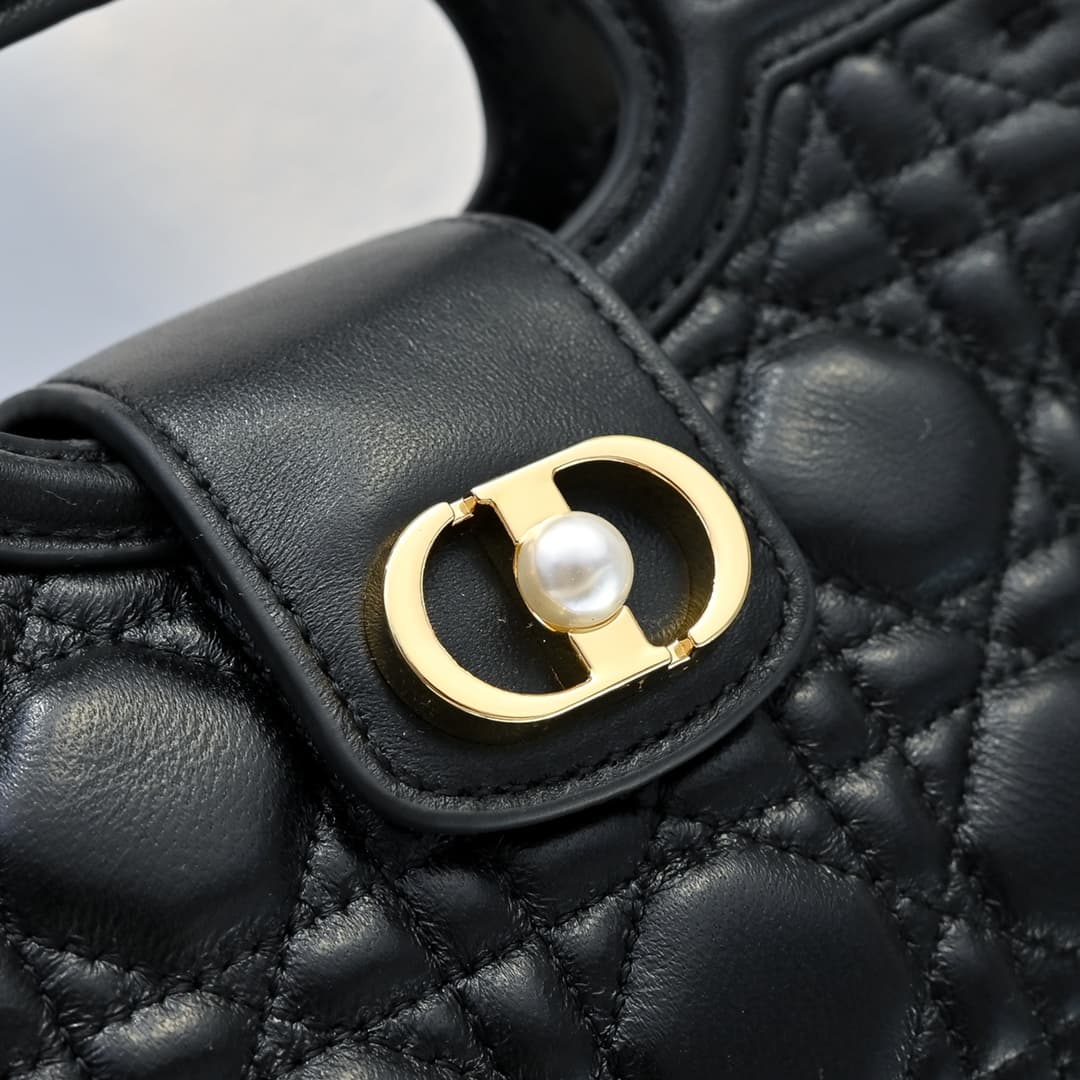 Dior Mini Bag M3123