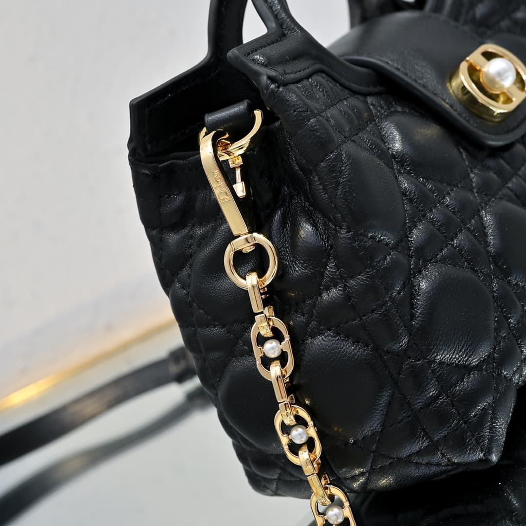 Dior Mini Bag M3123