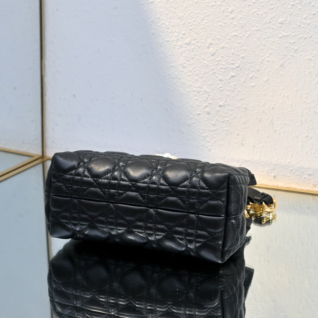 Dior Mini Bag M3123