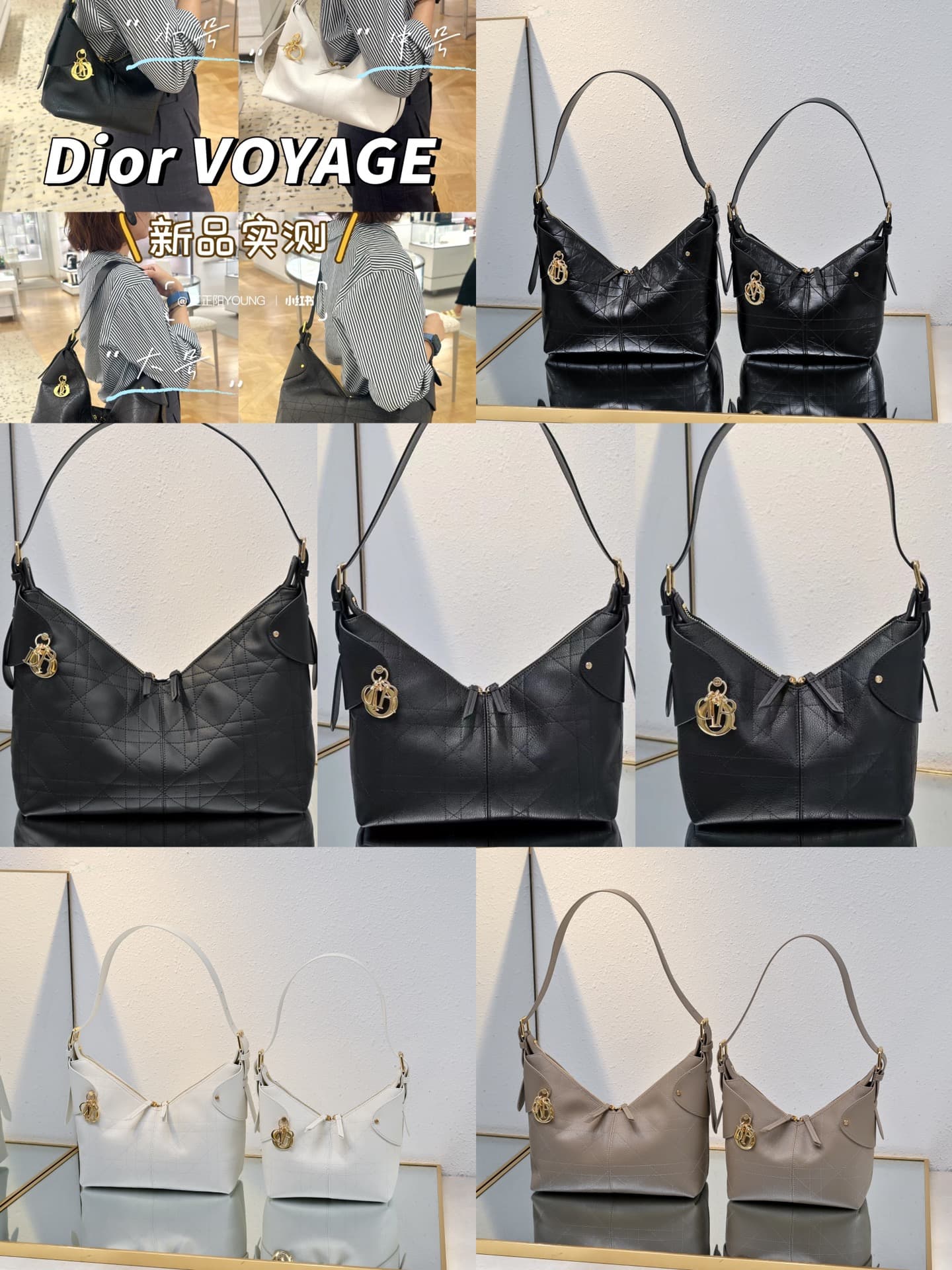 Dior Bag