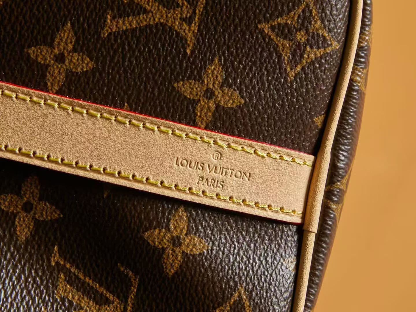 Louis Vuitton Shoulder Bag M41113