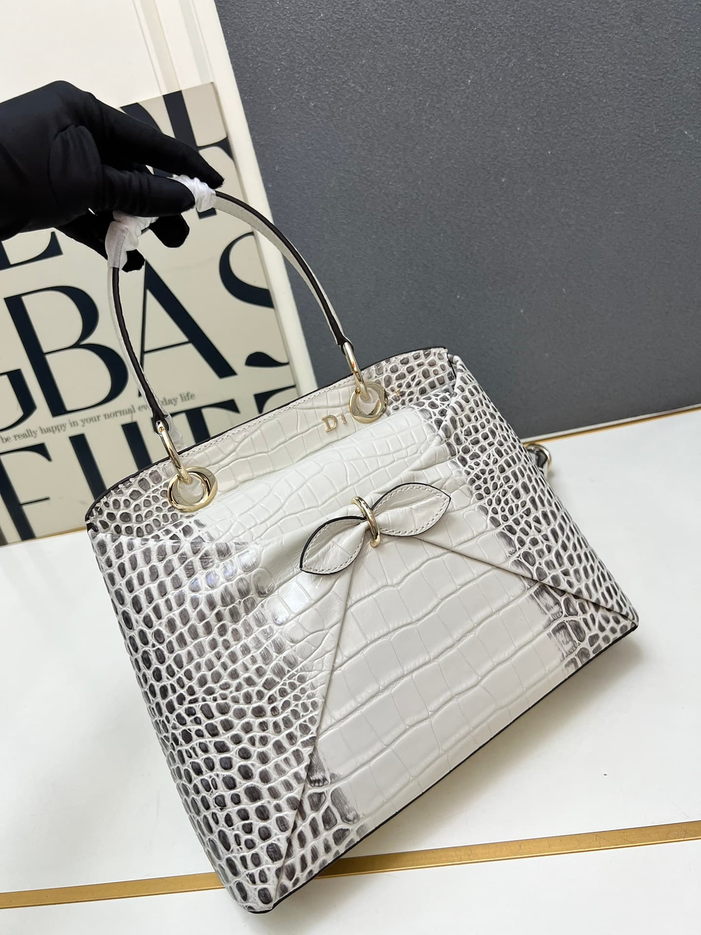 Dior Bag 1A1679