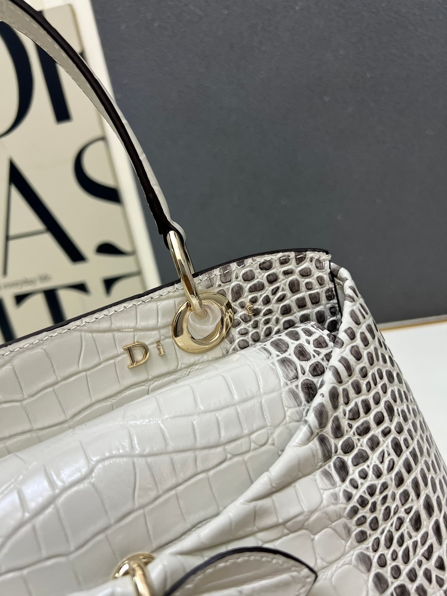 Dior Bag 1A1679