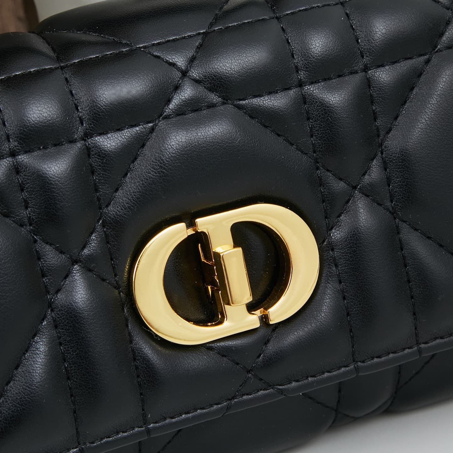 Dior Crossbody Bag 5501