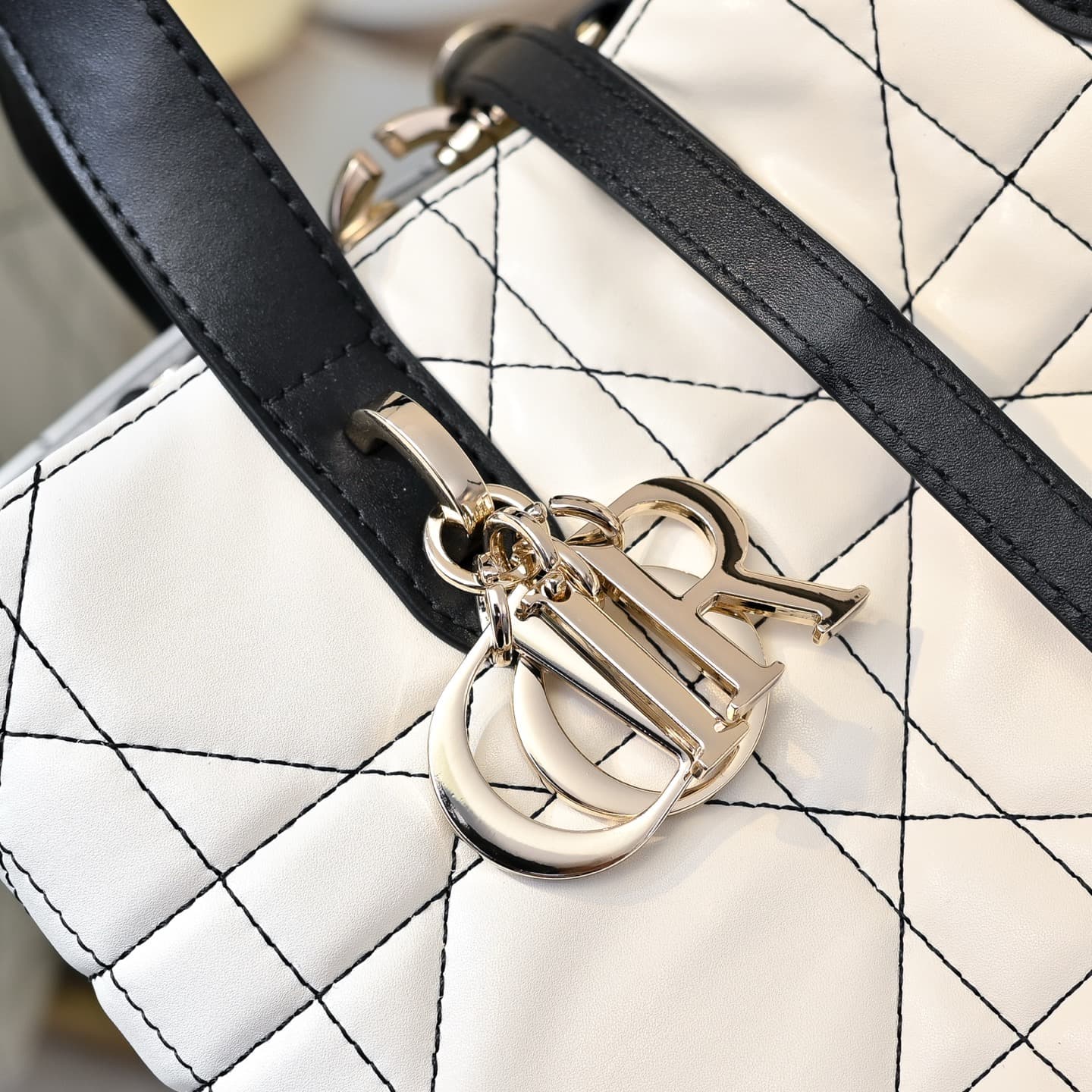 Dior Large Bag