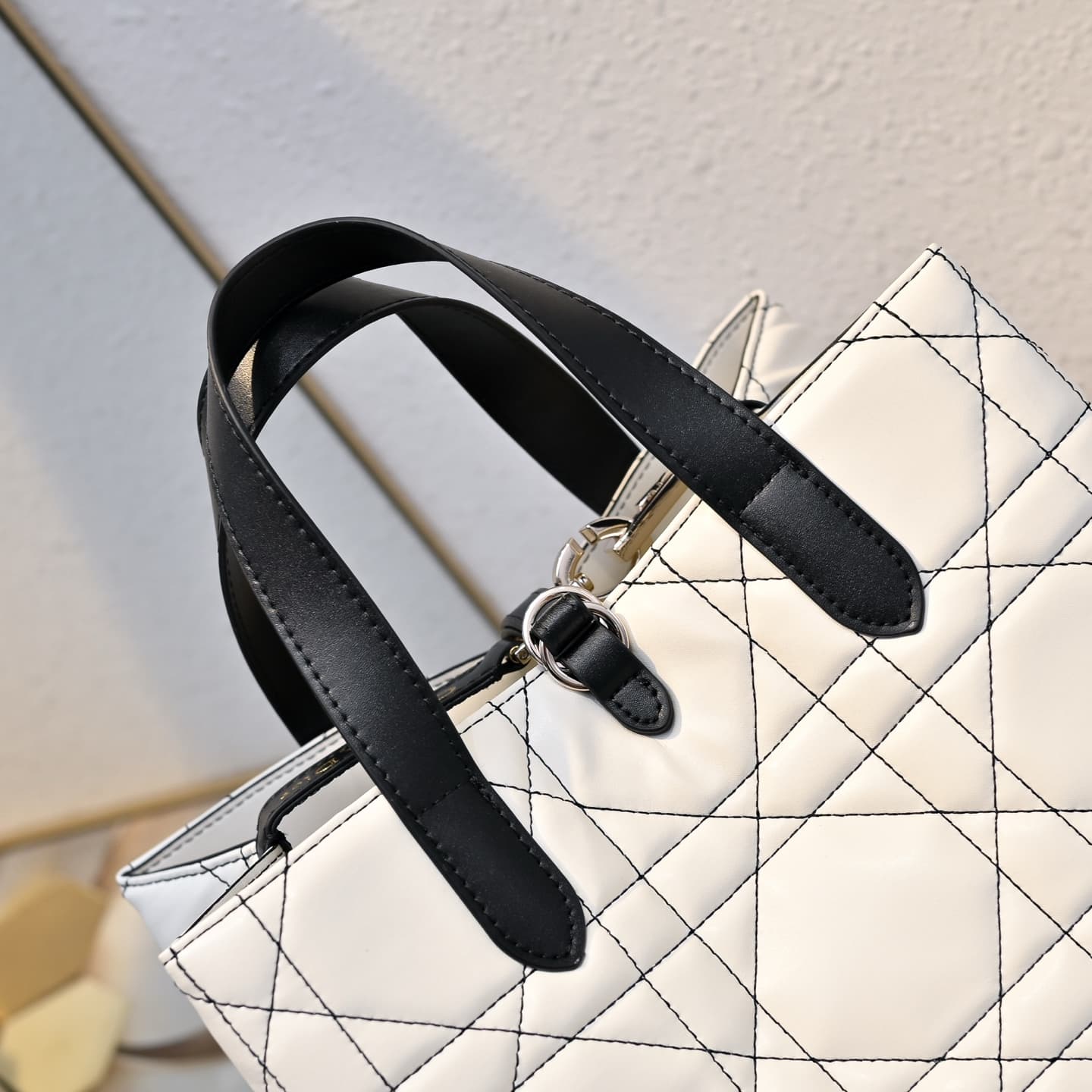 Dior Large Bag