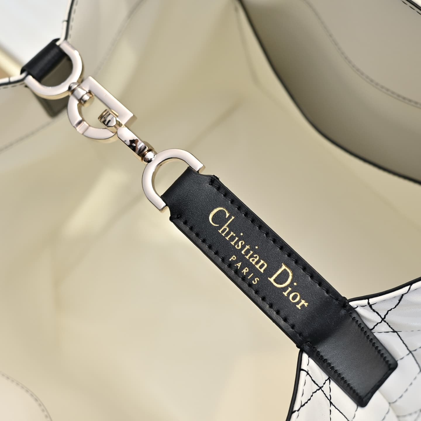 Dior Large Bag