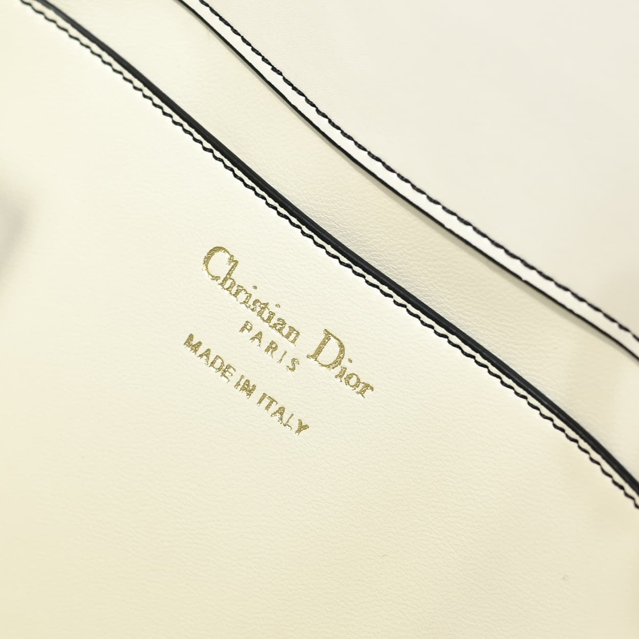 Dior Large Bag