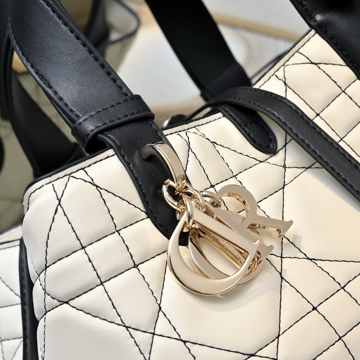 Dior Small Bag 5888