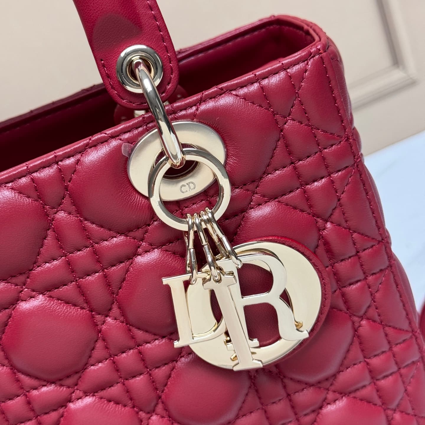 Dior Bag