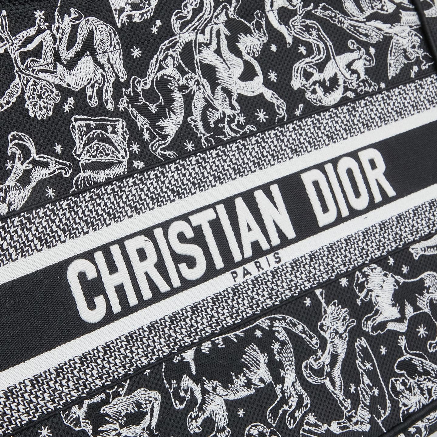 Dior Medium Tote Bag 1296