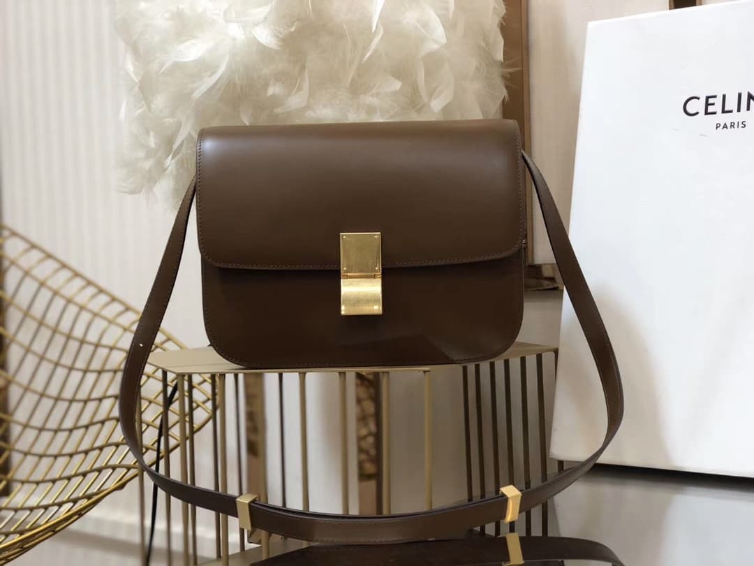 Celine Gold Accessory