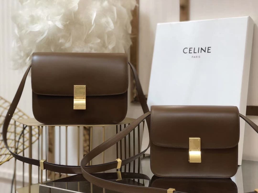 Celine Brown Accessory
