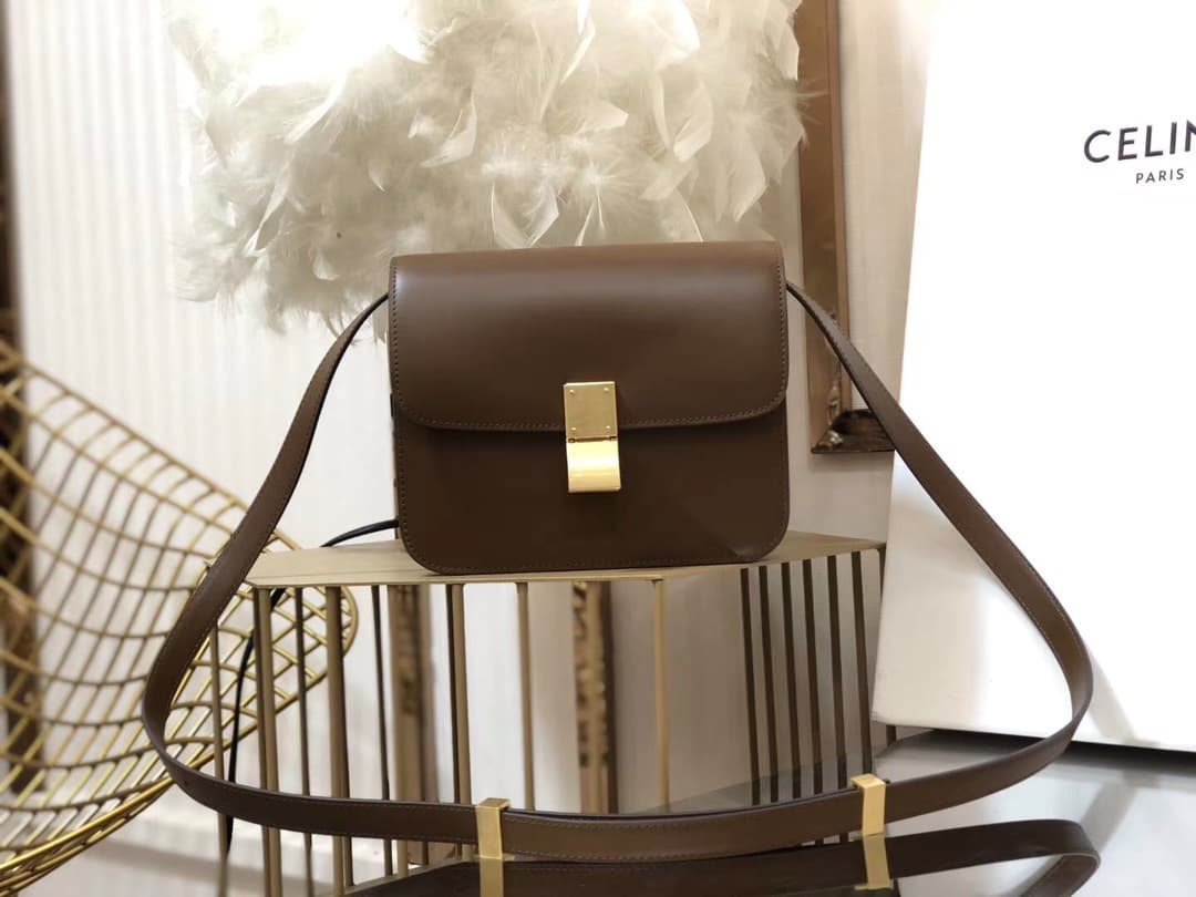 Celine Gold Accessory